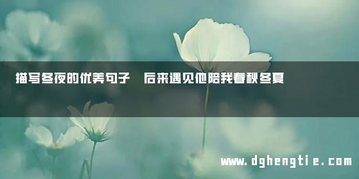 描写冬夜的优美句子 后来遇见他陪我春秋冬夏